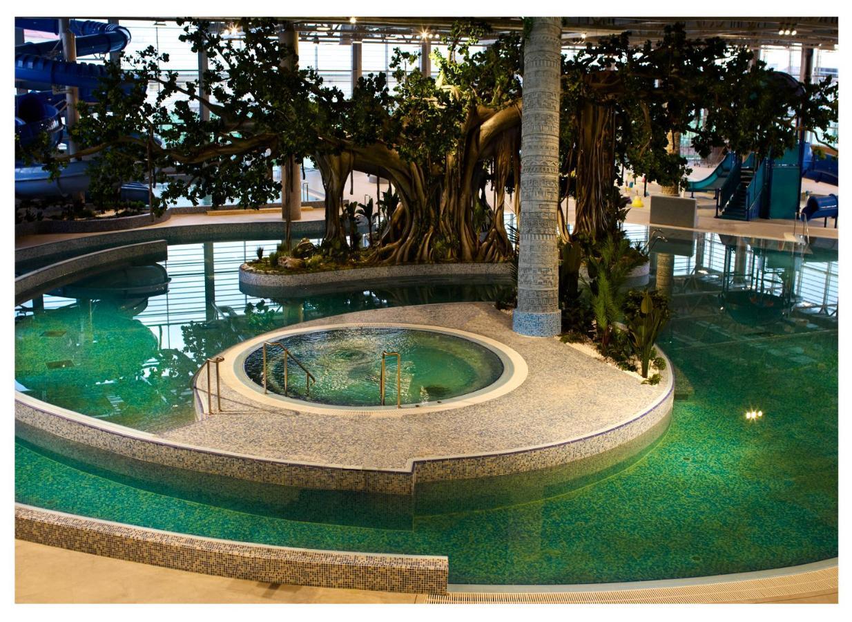 Amazonia Apartments 蒂米什瓦拉 外观 照片