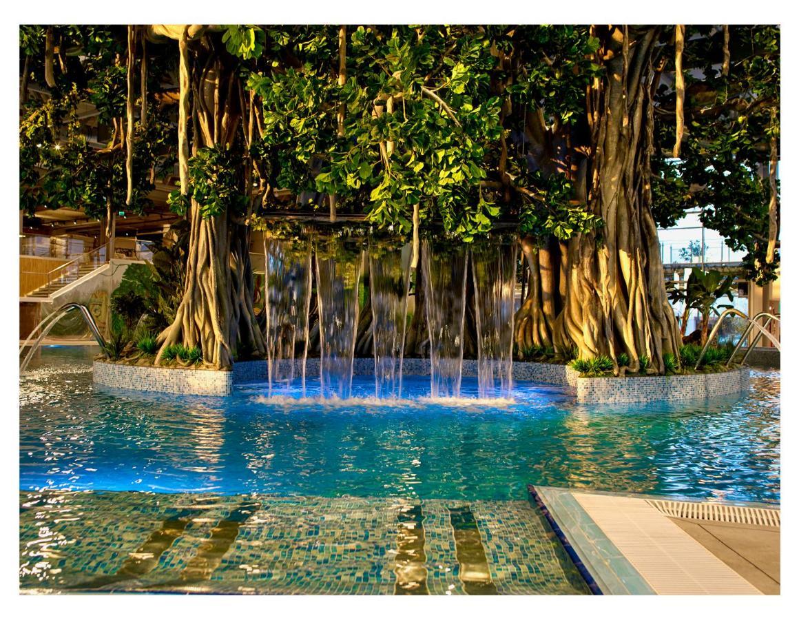Amazonia Apartments 蒂米什瓦拉 外观 照片